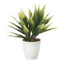 光触媒 光の楽園 ドラセナ(ポリ製)【インテリアグリーン 人工観葉植物】(2267A45)