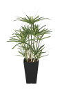 光触媒 光の楽園 パピルス 60 フェイクグリーン 人工観葉植物(2296A120)