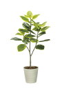 光触媒 光の楽園 フレッシュアルテシマ1.35m フェイクグリーン 人工観葉植物(2332A310)【ラッピング不可】