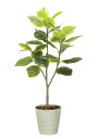 光触媒 光の楽園 フレッシュアルテシマ1.65m フェイクグリーン 大型 人工観葉植物(2333A350)(※ラッピング不可)