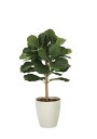 光触媒 光の楽園 DXカシワバゴム1.0m フェイクグリーン 人工観葉植物(2340A200)【ラッピング不可】
