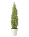光触媒 光の楽園 ゴールドクレスト1.35(ポリ製)【インテリア フェイクグリーン 人工観葉植物】(2467A400)【ラッピング不可】