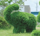 光の楽園ゾウ S ※光触媒加工なし【ガーデンシリーズ ガーデニング トピアリー 】
