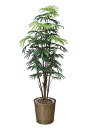 光触媒 光の楽園 シュロチク 1.6m フェイクグリーン 大型 人工観葉植物(500K400)(※ラッピング不可)