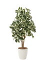 光触媒 光の楽園 斑入リシェフレラ90 フェイクグリーン 人工観葉植物(733K160)【ラッピング不可】