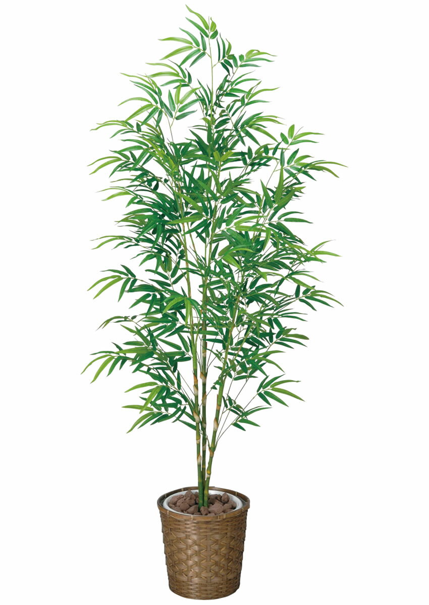 光触媒 光の楽園 青竹 1.8m フェイクグリーン 大型 人工観葉植物(778K370)【ラッピング不可】