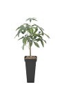 光触媒 光の楽園 スリムパキラ1.0m フェイクグリーン 人工観葉植物(826K135)【ラッピング不可】