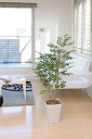 光触媒　光の楽園 トネリコ 1.2m フェイクグリーン 人工観葉植物