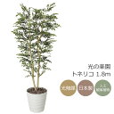 光触媒 光の楽園 トネリコ 1.8m インテリア フェイクグリーン 大型 人工観葉植物 (146P500)(※ラッピング不可)