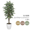 光触媒 光の楽園 ロイヤルベンジャミン 1.8m フェイクグリーン 大型 人工観葉植物(151K650)(※ラッピング不可)