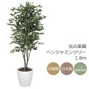光触媒 光の楽園 ベンジャミンツリー 1.8m フェイクグリーン 大型 人工観葉植物(157K520)(※ラッピング不可)