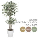 光触媒 光の楽園 トロピカルベンジャミン斑入リ 1.6m フェイクグリーン 大型 人工観葉植物(166K480)(※ラッピング不可)
