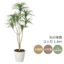 光触媒 光の楽園ユッカ 高さ1.6m フェイクグリーン 大型 人工観葉植物 大型