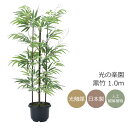 光触媒 光の楽園 黒竹 1.0m(幹:天然黒竹) フェイクグリーン 人工観葉植物(176K125)【ラッピング不可】