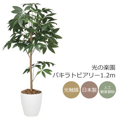 https://thumbnail.image.rakuten.co.jp/@0_mall/hikarinorakuen/cabinet/item/193a180_main_img.jpg