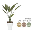 光触媒 光の楽園 ストレチア 1.1m【インテリア フェイクグリーン 人工観葉植物】(196P230)(※ラッピング不可)