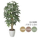 光触媒 光の楽園 パキラ 1.0m【インテリア フェイクグリーン 人工観葉植物】(199P165)(※ラッピング不可)