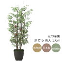 光触媒 光の楽園 黒竹&南天1.6m フェイクグリーン 大型 人工観葉植物(2010K300)(※ラッピング不可)
