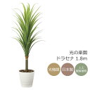 光触媒 人工観葉植物光の楽園 ドラセナ 高さ 1.8mインテリア フェイクグリーン 大型