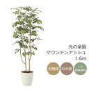 光触媒 光の楽園 マウンテンアッシュ1.6m インテリア フェイクグリーン 大型 人工観葉植物 (2021P350)(※ラッピング不可)