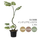 光触媒 光の楽園 インテリアモンステラ1.7m フェイクグリーン 大型 人工観葉植物(2025K260)(※ラッピング不可)
