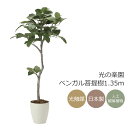 光触媒 光の楽園 ベンガル菩提樹1.35m フェイクグリーン 人工観葉植物(2031K255)【ラッピング不可】