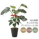 光触媒 人工観葉植物光の楽園 モンステラ&アンスリューム 高さ95cmフェイクグリーン インテリア