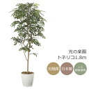 光触媒 光の楽園 トネリコ1.8m インテリア フェイクグリーン 大型 人工観葉植物 (2094P380)(※ラッピング不可)