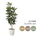 光触媒 光の楽園 ゴムの木1.6m インテリア フェイクグリーン 大型 人工観葉植物 (2121P375)(※ラッピング不可)