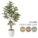 光触媒 光の楽園 アルテシマDX 1.6m フェイクグリーン 大型 人工観葉植物(2212A380)