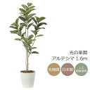 光触媒 光の楽園 アルテシマ 1.6m フェイクグリーン 大型 人工観葉植物(2219A280)