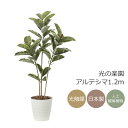 光触媒 光の楽園 アルテシマ1.2m【インテリア フェイクグリーン 人工観葉植物】(2221P200)(※ラッピング不可)