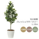 光触媒 光の楽園 フレッシュマネーツリー 1.15m フェイクグリーン 人工観葉植物(2222A150)