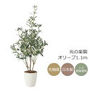 光触媒 光の楽園 オリーブ1.1m【インテリア フェイクグリーン 人工観葉植物】(2223P200)(※ラッピング不可)