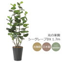 フェイクグリーン 観葉植物 フェイク 人工観葉植物 造花 インテリア リアル おしゃれ 鉢 お祝い 葉 枝 室内 小型 3点 セット アイビー ポトス プミラ 人気 玄関 リビング オフィス シンプル 素焼きポット お買い得 【日付指定・ギフト不可】No8407