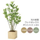 光触媒 光の楽園 ウッドボックスポリシャス1.0m フェイクグリーン 人工観葉植物(2308A220)【ラッピング不可】