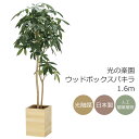 光触媒 光の楽園 ウッドボックスパキラ1.6m フェイクグリーン 大型 人工観葉植物(2309A420)(※ラッピング不可)