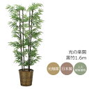 光触媒 光の楽園 黒竹1.6m(幹:天然黒竹) フェイクグリーン 大型 人工観葉植物(2315A300)(※ラッピング不可)