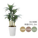 光触媒 光の楽園 幸福の木1.3m【インテリア フェイクグリーン 人工観葉植物】(2316P280)(※ラッピング不可)