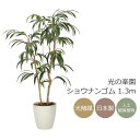 光触媒 光の楽園 ショウナンゴム1.3m フェイクグリーン 人工観葉植物(2320A260)【ラッピング不可】