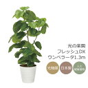 光触媒 光の楽園 フレッシュDXウンベラータ1.3m フェイクグリーン 人工観葉植物(2327A480)【ラッピング不可】