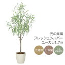 光触媒 光の楽園 フレッシュシルバーユーカリ1.7m フェイクグリーン 大型 人工観葉植物(2330A500)(※ラッピング不可)