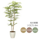 光触媒 光の楽園 ソヨゴ1.6m フェイクグリーン 大型 人工観葉植物(2338A380)(※ラッピング不可)