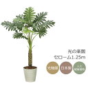 光触媒 光の楽園 セローム1.25m フェイクグリーン 人工観葉植物(2341A170)【ラッピング不可】
