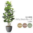 光触媒 光の楽園 ナチュラルシグレープ 1.6m フェイクグリーン 大型 人工観葉植物(2402A480)(※ラッピング不可)