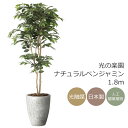 光触媒 光の楽園 ナチュラルベンジャミン 1.8m フェイクグリーン 大型 人工観葉植物(2405A650)(※ラッピング不可)