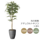 光触媒 光の楽園 ナチュラルトネリコ 1.8m フェイクグリーン 大型 人工観葉植物(2407A720)(※ラッピング不可)