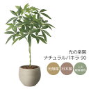 光触媒 光の楽園 ナチュラルパキラ 90 フェイクグリーン 人工観葉植物(2408A215)【ラッピング不可】