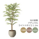 光触媒 光の楽園 ナチュラルライトトネリコ 1.1m フェイクグリーン 人工観葉植物(2410A270)【ラッピング不可】