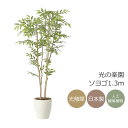 光触媒 光の楽園 ソヨゴ1.3【インテリア フェイクグリーン 人工観葉植物】(2419A230)【ラッピング不可】